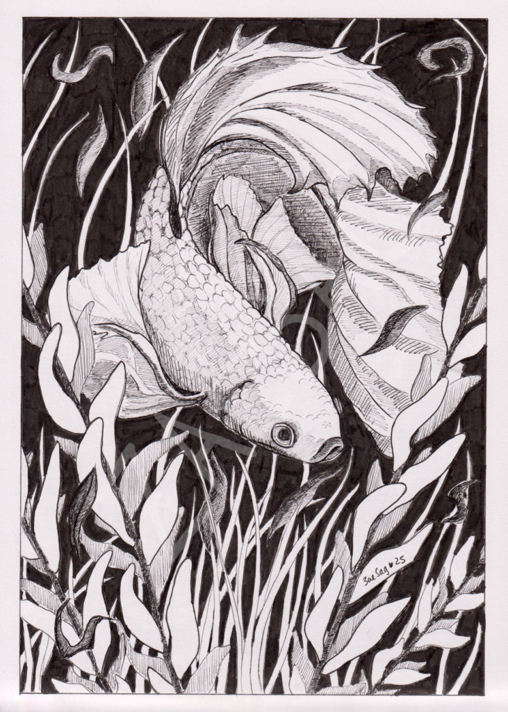 Comme un Poisson dans l&rsquo;Eau
