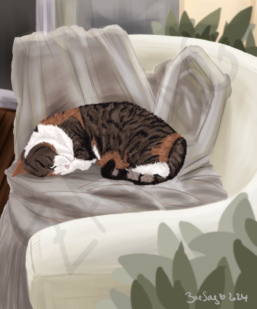 Chat (encore)