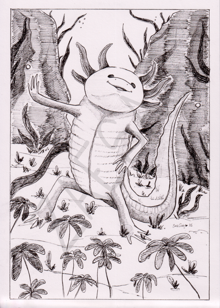 Axolotl