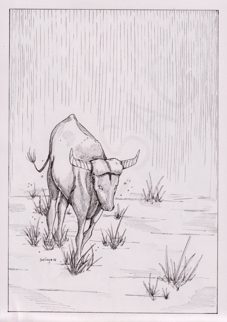 Traversée du Bison