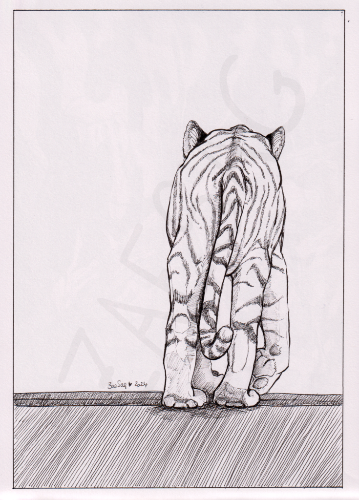 La Marche du Tigre