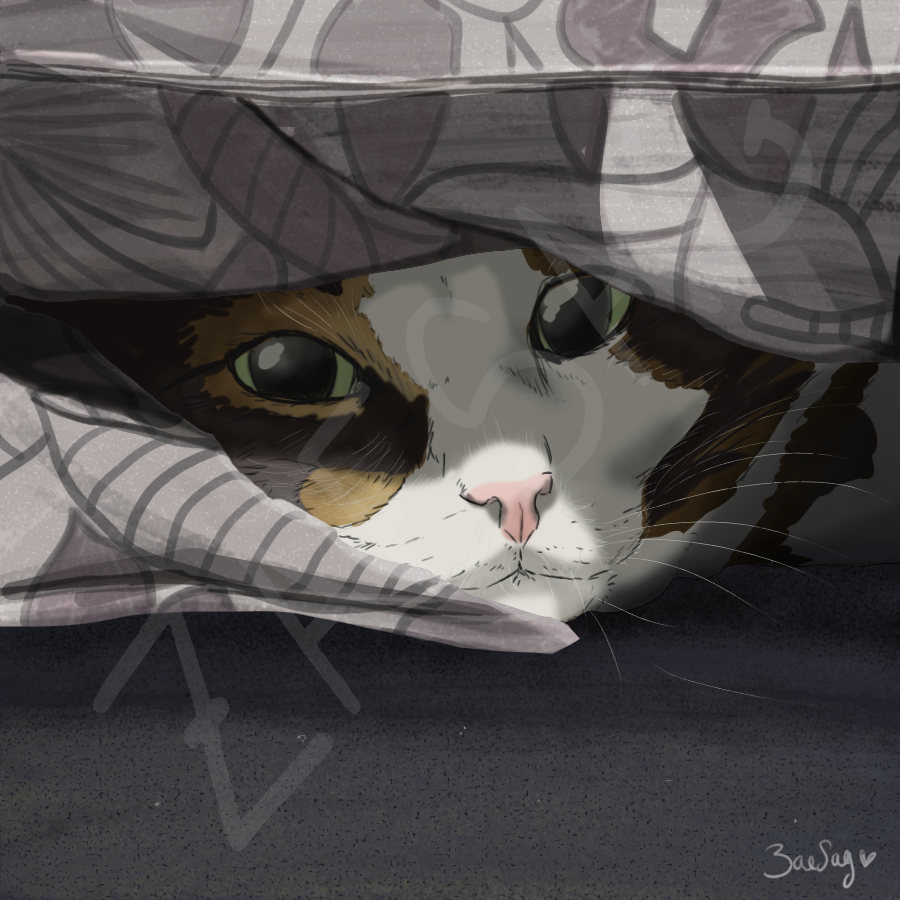 Chat